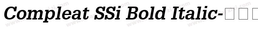 Compleat SSi Bold Italic字体转换